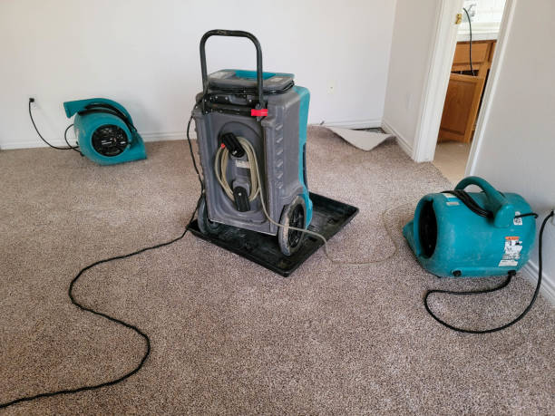 Best Local water damage restoration  in Tiger Point, FL