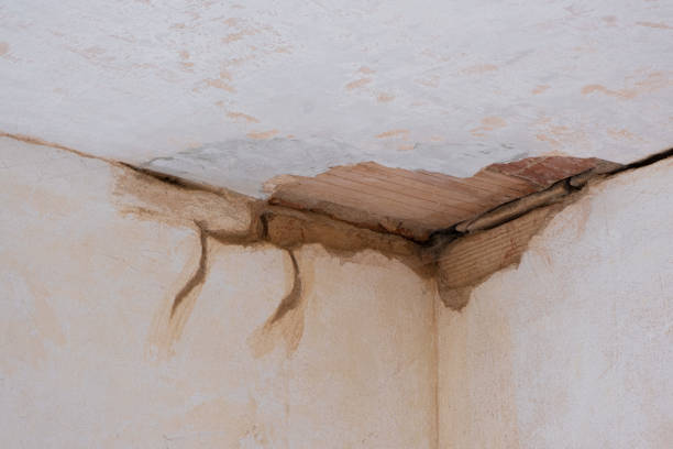 Sewage cleanup and water damage restoration in Tiger Point, FL
