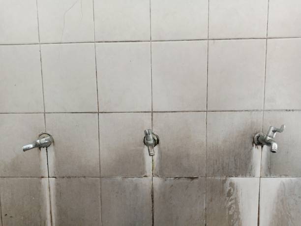 Best 24-hour water damage restoration  in Tiger Point, FL