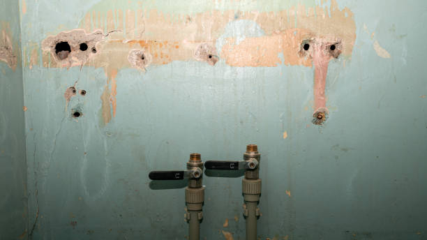 Best Ceiling water damage repair  in Tiger Point, FL