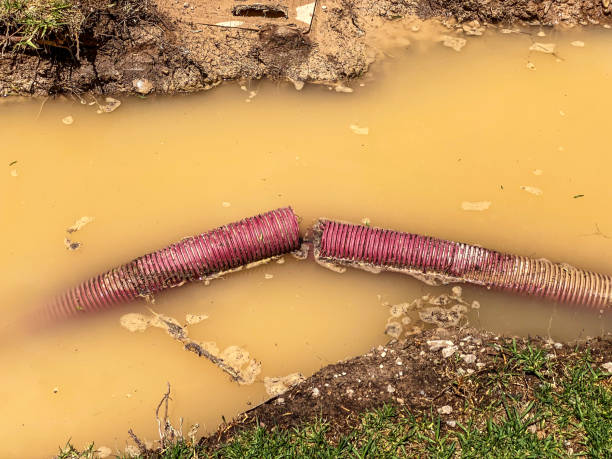 Carpet water damage restoration in Tiger Point, FL