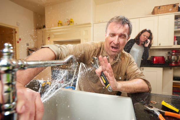 Best Basement water damage restoration  in Tiger Point, FL